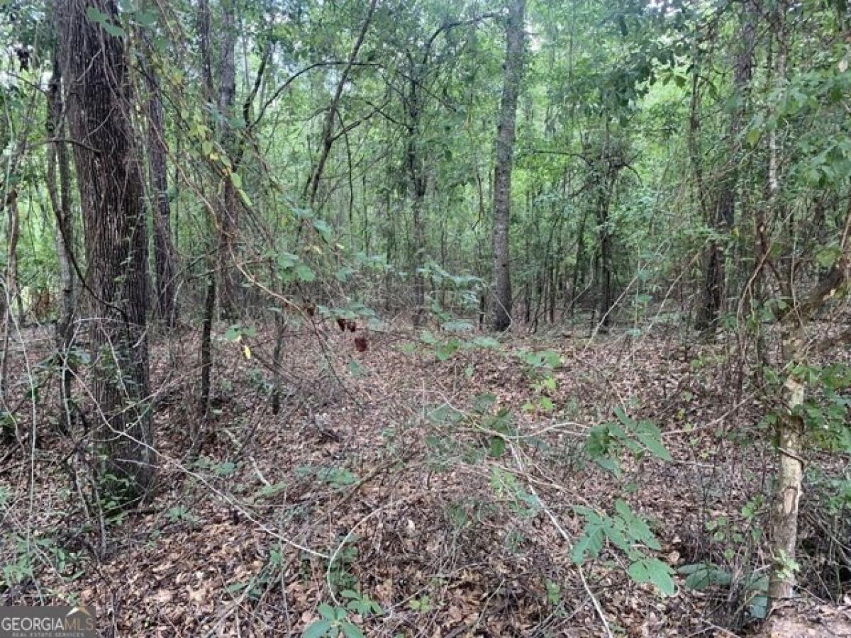 Picture of Residential Land For Sale in Butler, Georgia, United States