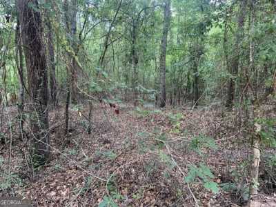 Residential Land For Sale in Butler, Georgia