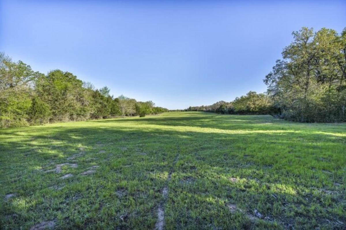 Picture of Residential Land For Sale in Rockdale, Texas, United States