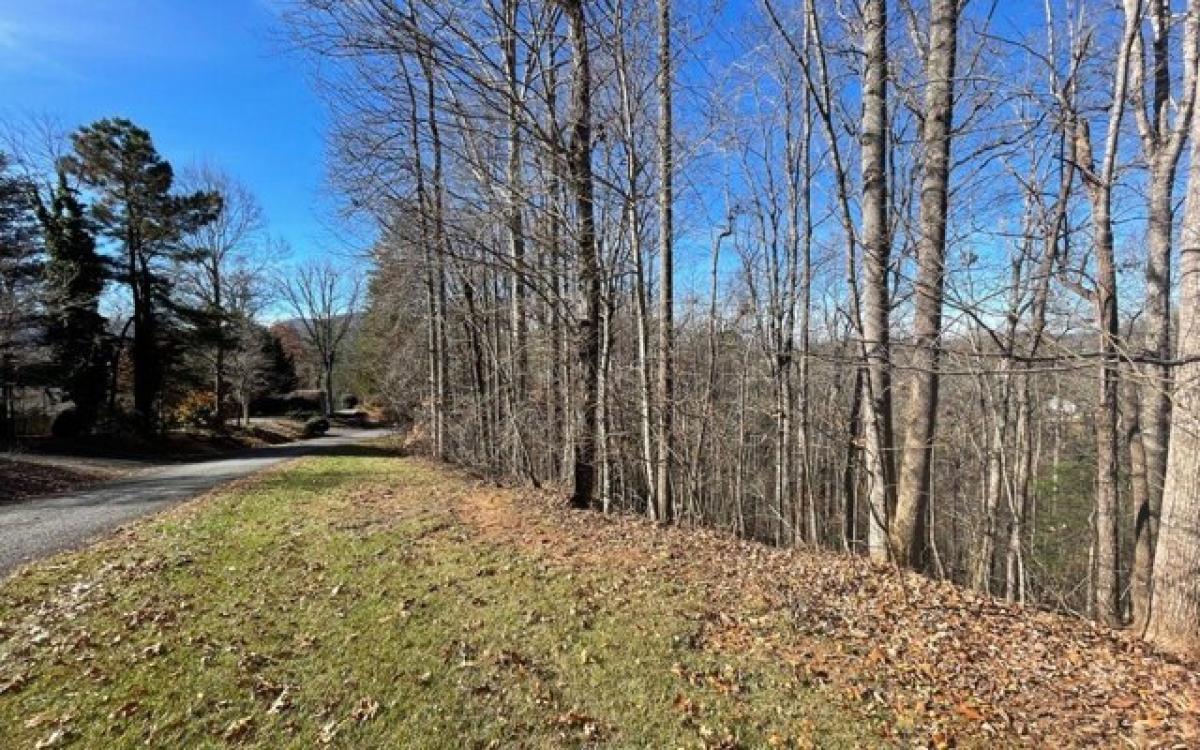 Picture of Residential Land For Sale in Young Harris, Georgia, United States