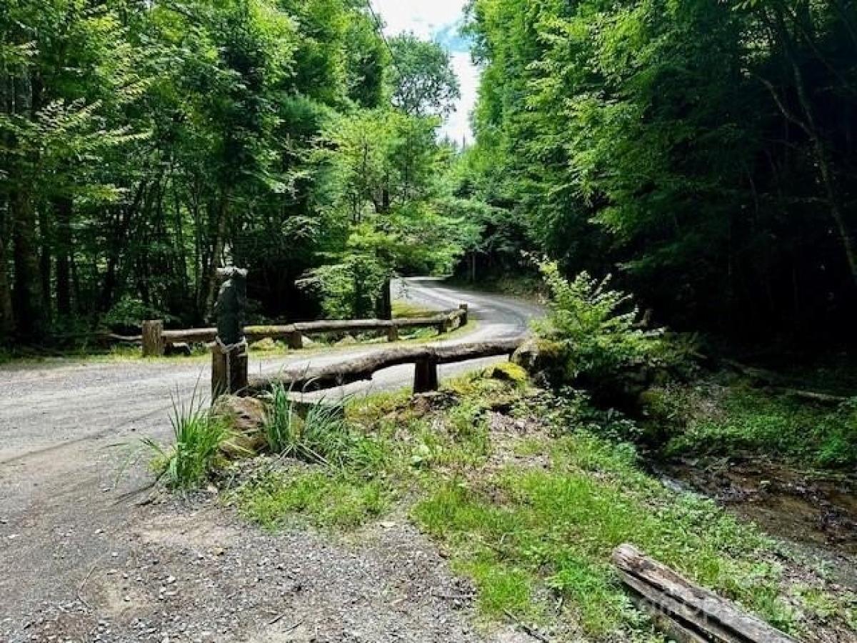 Picture of Residential Land For Sale in Maggie Valley, North Carolina, United States