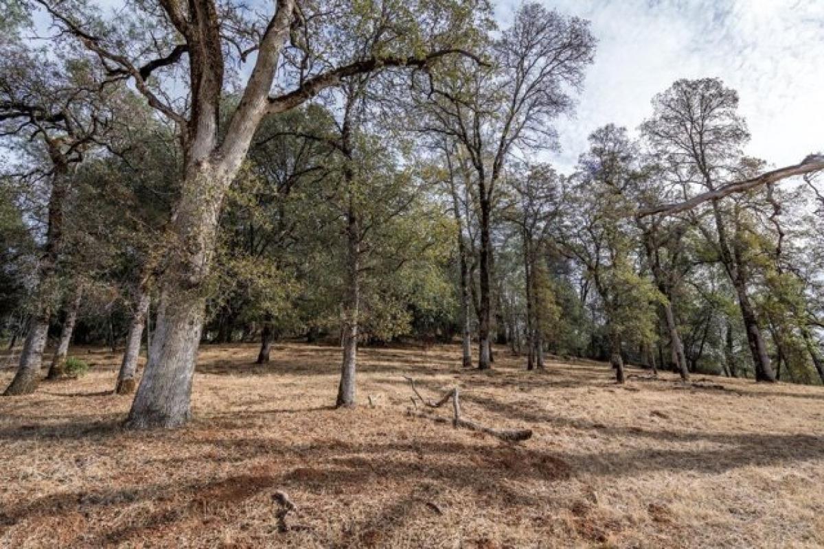 Picture of Residential Land For Sale in Auburn, California, United States