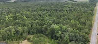 Residential Land For Sale in Chauncey, Georgia