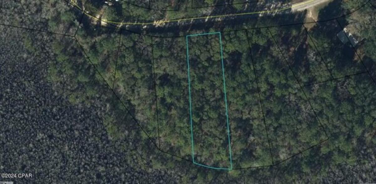 Picture of Residential Land For Sale in Bonifay, Florida, United States