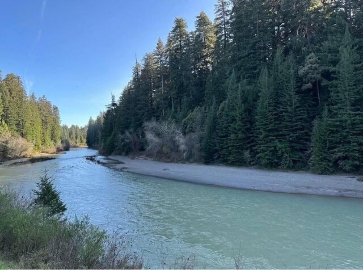 Picture of Home For Sale in Myers Flat, California, United States