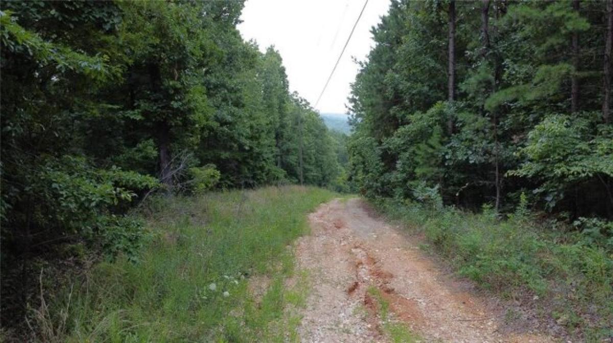 Picture of Residential Land For Sale in Potosi, Missouri, United States