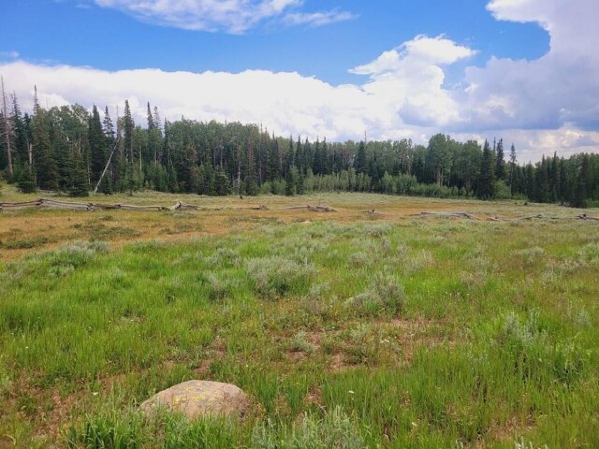 Picture of Residential Land For Sale in Brian Head, Utah, United States