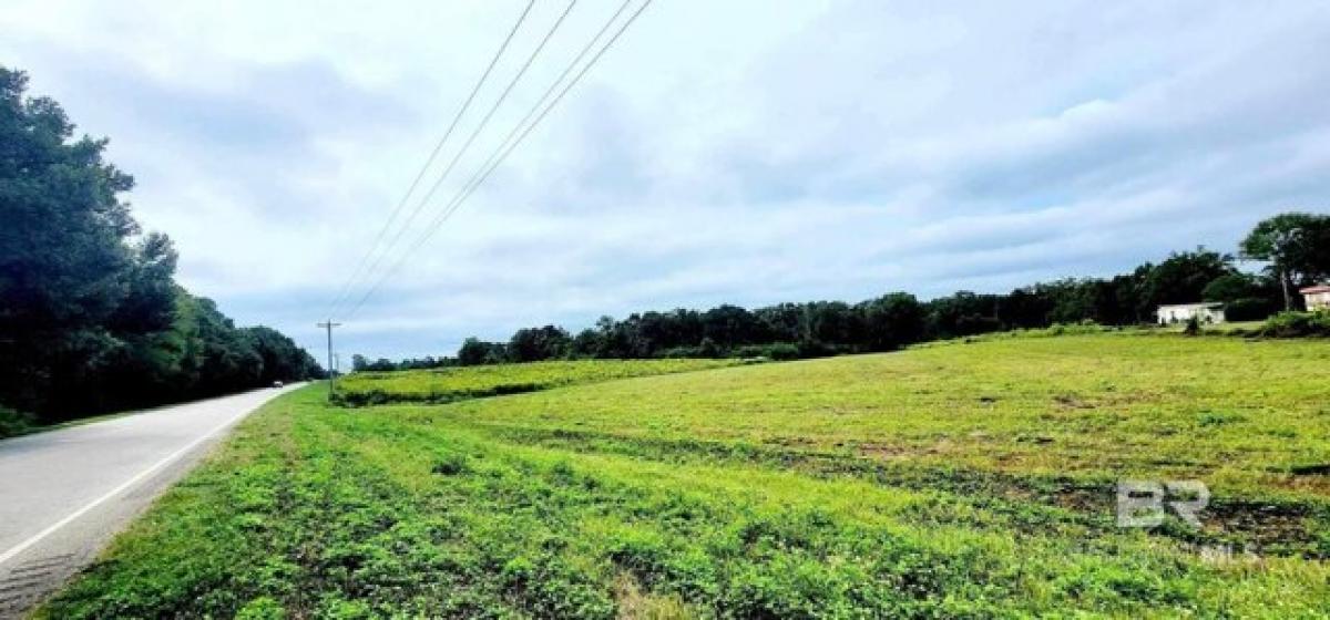 Picture of Residential Land For Sale in Robertsdale, Alabama, United States