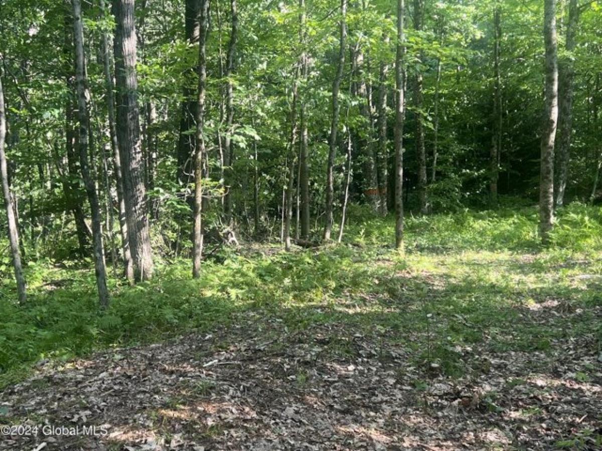 Picture of Residential Land For Sale in Gloversville, New York, United States