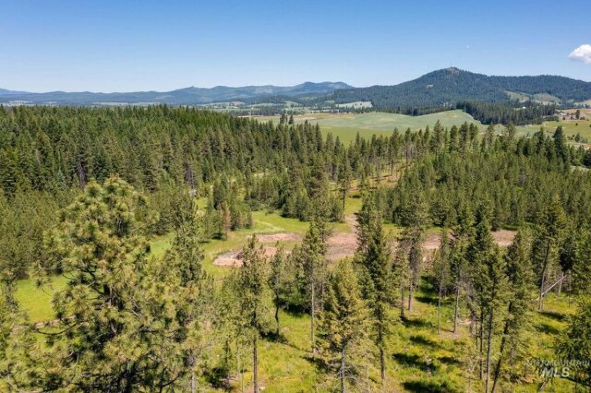 Picture of Residential Land For Sale in Deary, Idaho, United States