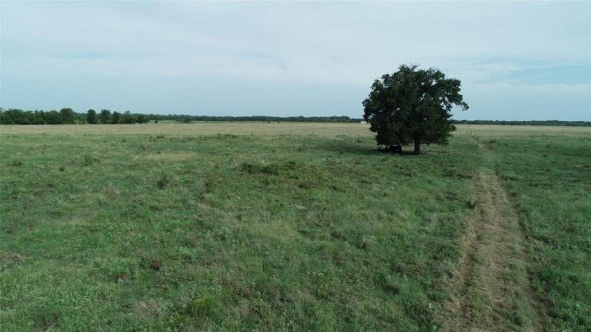 Picture of Residential Land For Sale in Kerens, Texas, United States