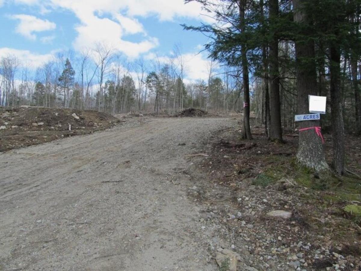 Picture of Residential Land For Sale in Buckfield, Maine, United States