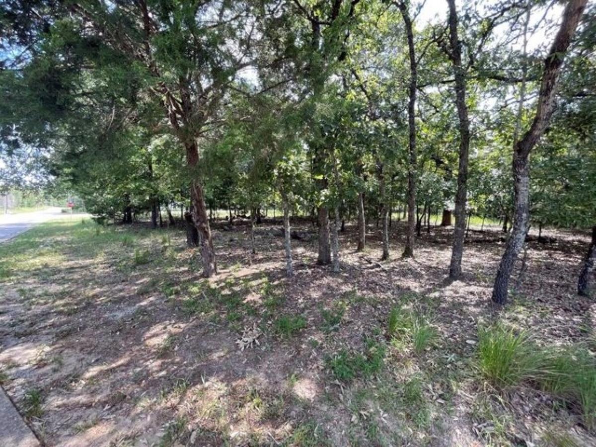 Picture of Residential Land For Sale in Athens, Texas, United States