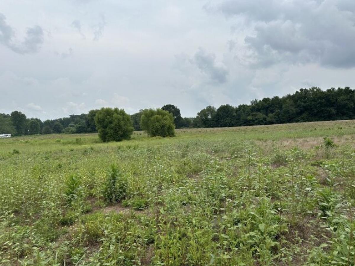 Picture of Residential Land For Sale in Joelton, Tennessee, United States