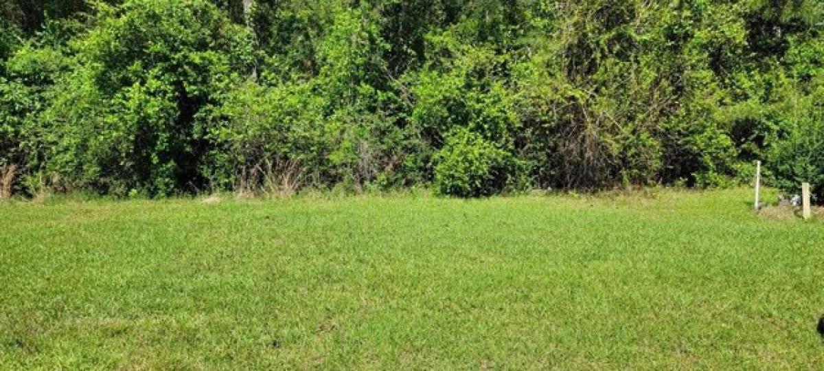 Picture of Residential Land For Sale in Carriere, Mississippi, United States