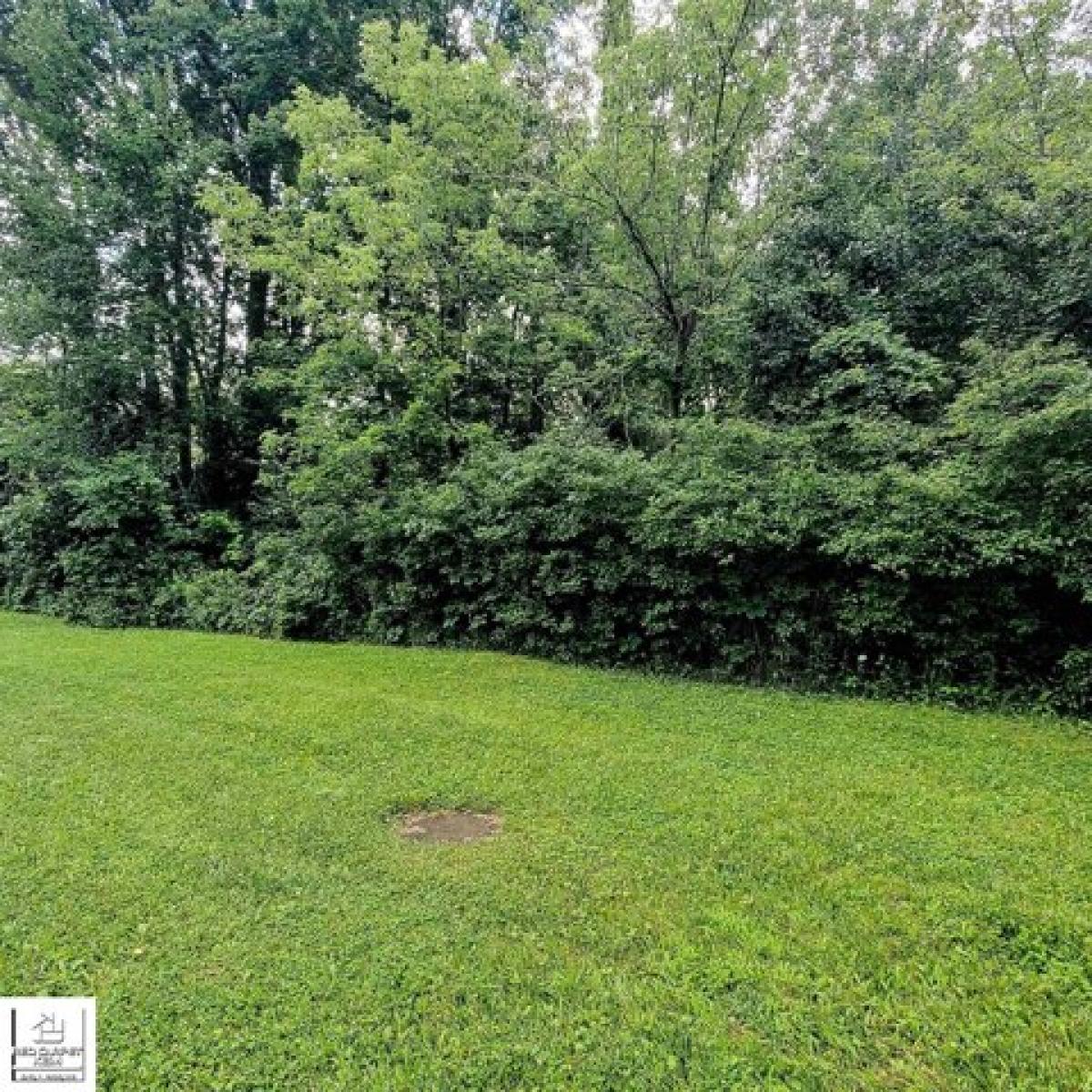 Picture of Residential Land For Sale in Davison, Michigan, United States