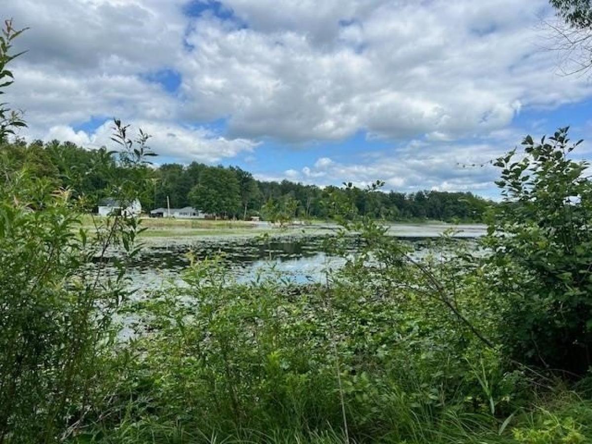 Picture of Residential Land For Sale in Farwell, Michigan, United States