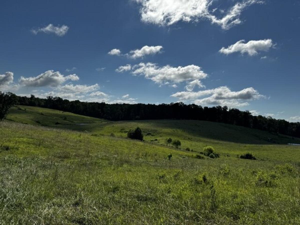 Picture of Residential Land For Sale in Erin, Tennessee, United States