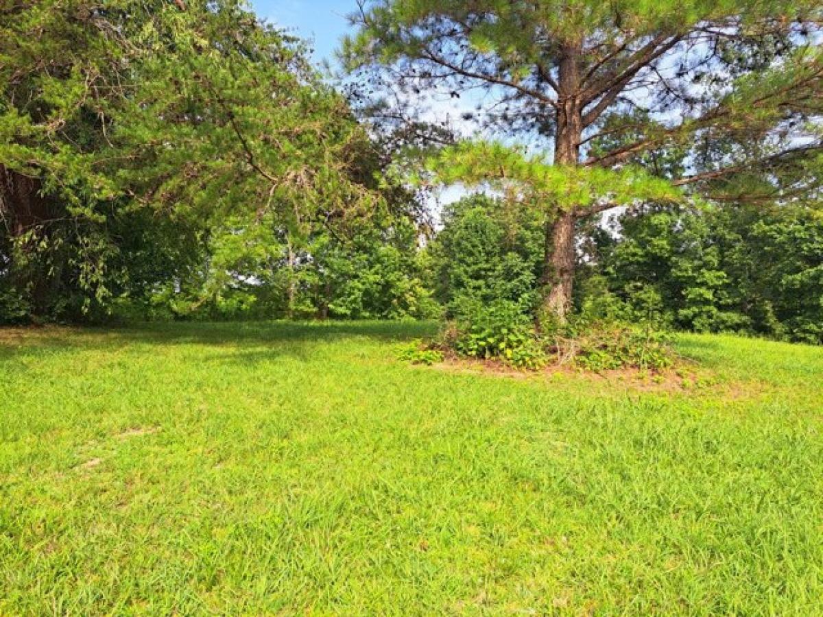 Picture of Residential Land For Sale in Red Boiling Springs, Tennessee, United States