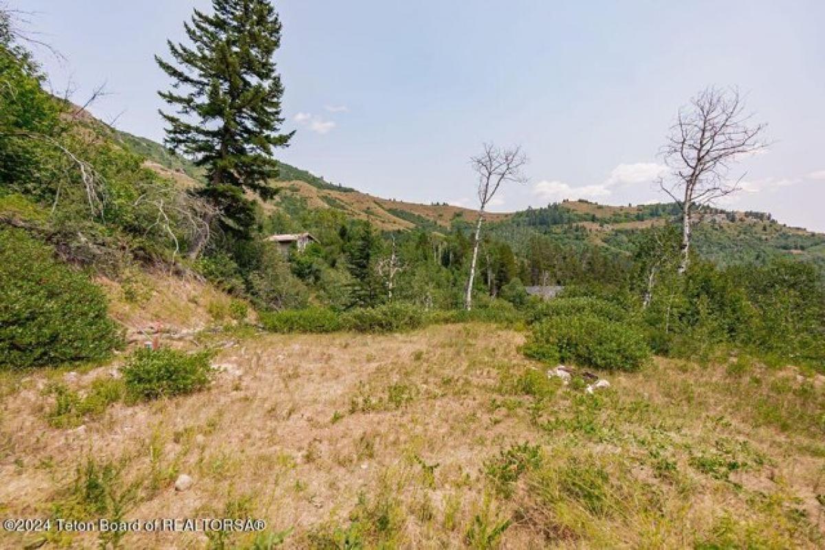 Picture of Residential Land For Sale in Irwin, Idaho, United States