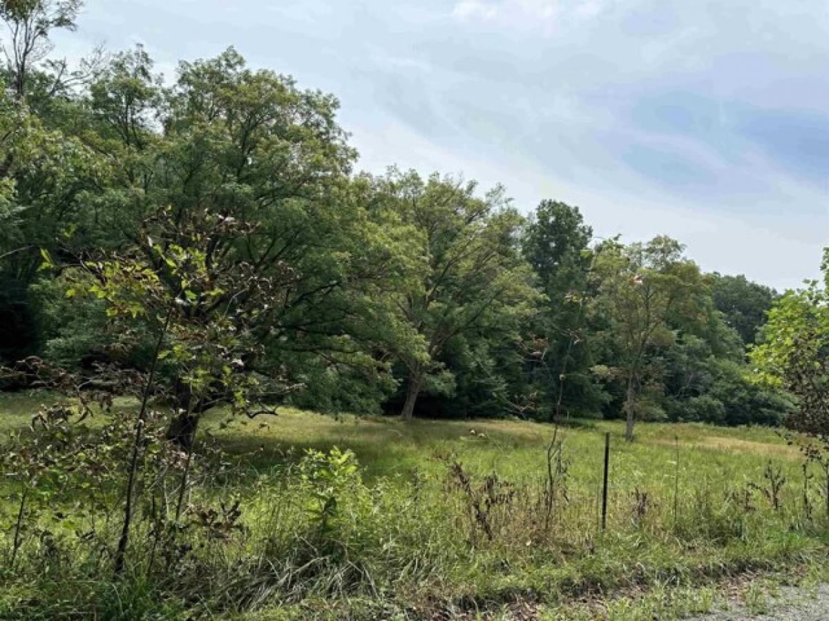 Picture of Residential Land For Sale in Philippi, West Virginia, United States