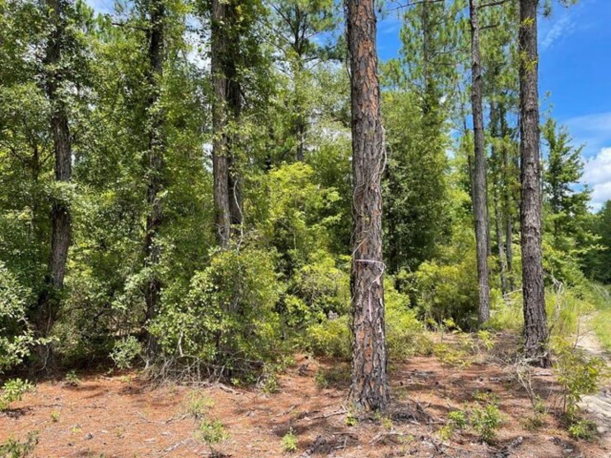 Picture of Residential Land For Sale in Metter, Georgia, United States