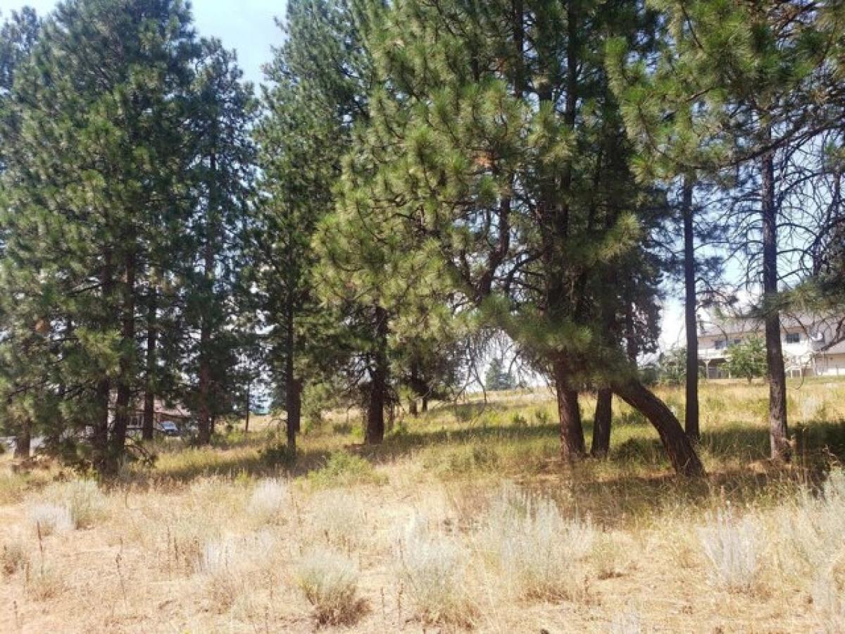 Picture of Residential Land For Sale in Chiloquin, Oregon, United States