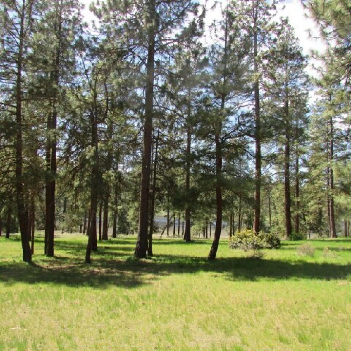 Picture of Residential Land For Sale in Klamath Falls, Oregon, United States