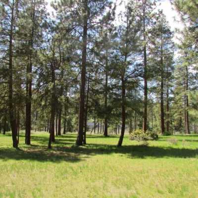 Residential Land For Sale in Klamath Falls, Oregon