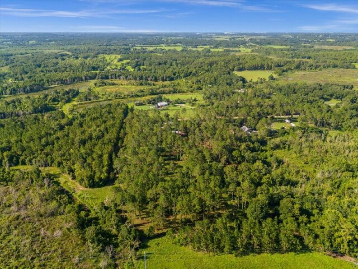 Picture of Residential Land For Sale in Howey in the Hills, Florida, United States