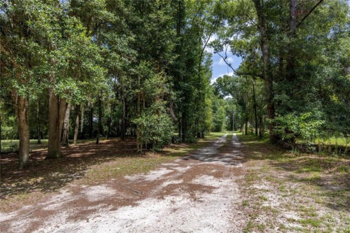 Picture of Residential Land For Sale in Micanopy, Florida, United States