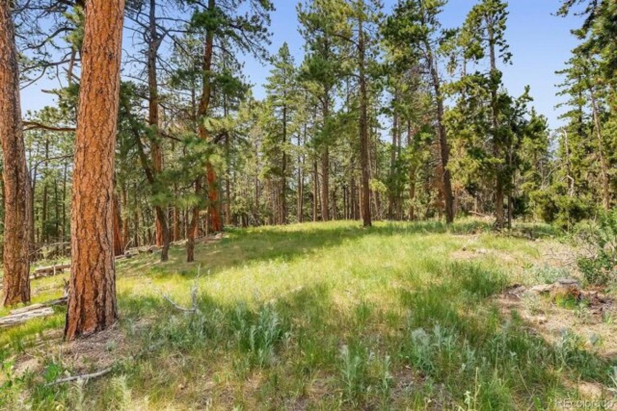 Picture of Residential Land For Sale in Conifer, Colorado, United States