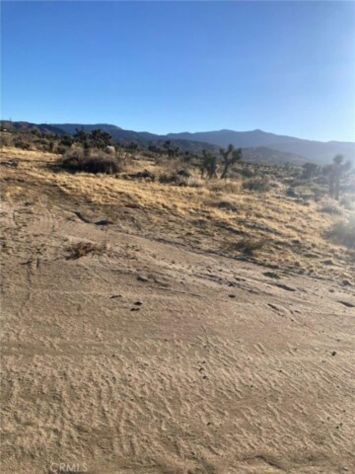 Picture of Residential Land For Sale in Phelan, California, United States