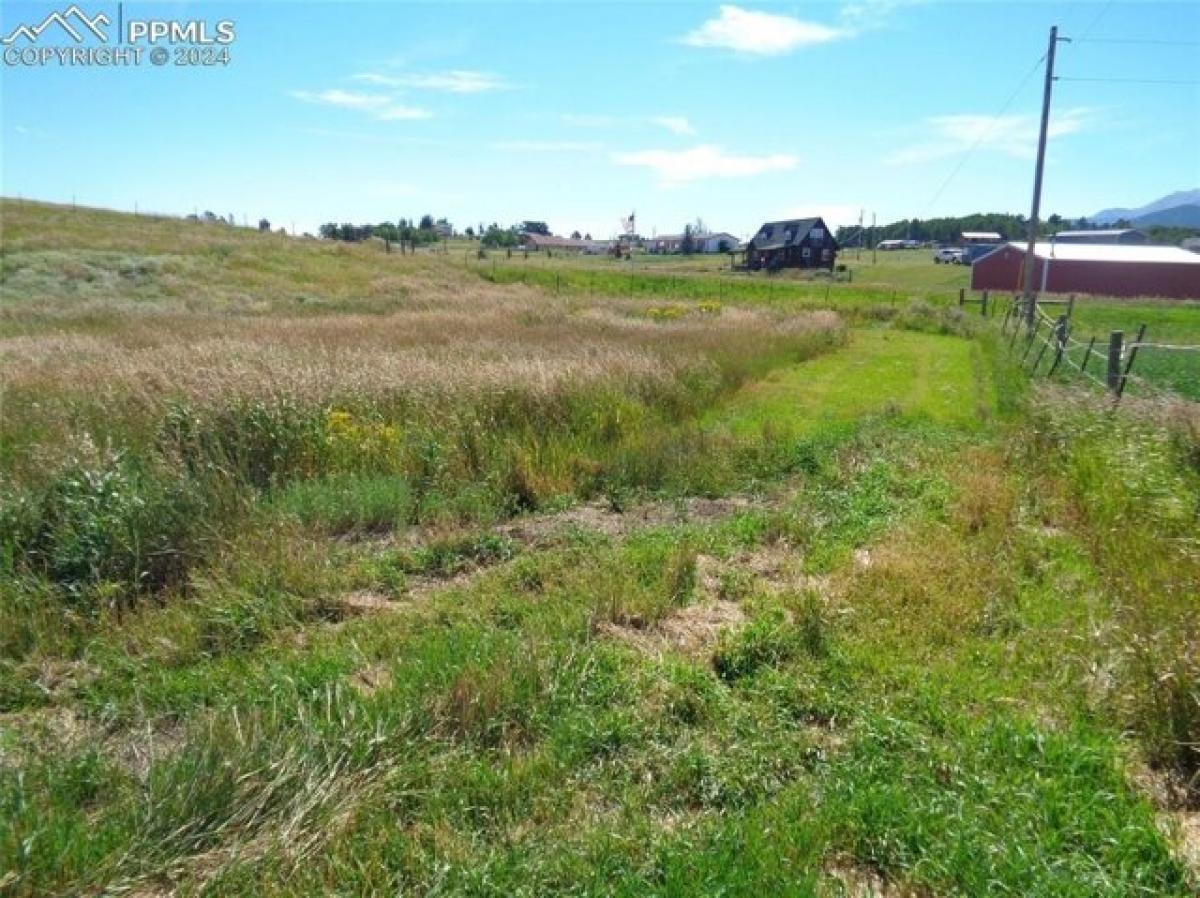 Picture of Residential Land For Sale in Divide, Colorado, United States