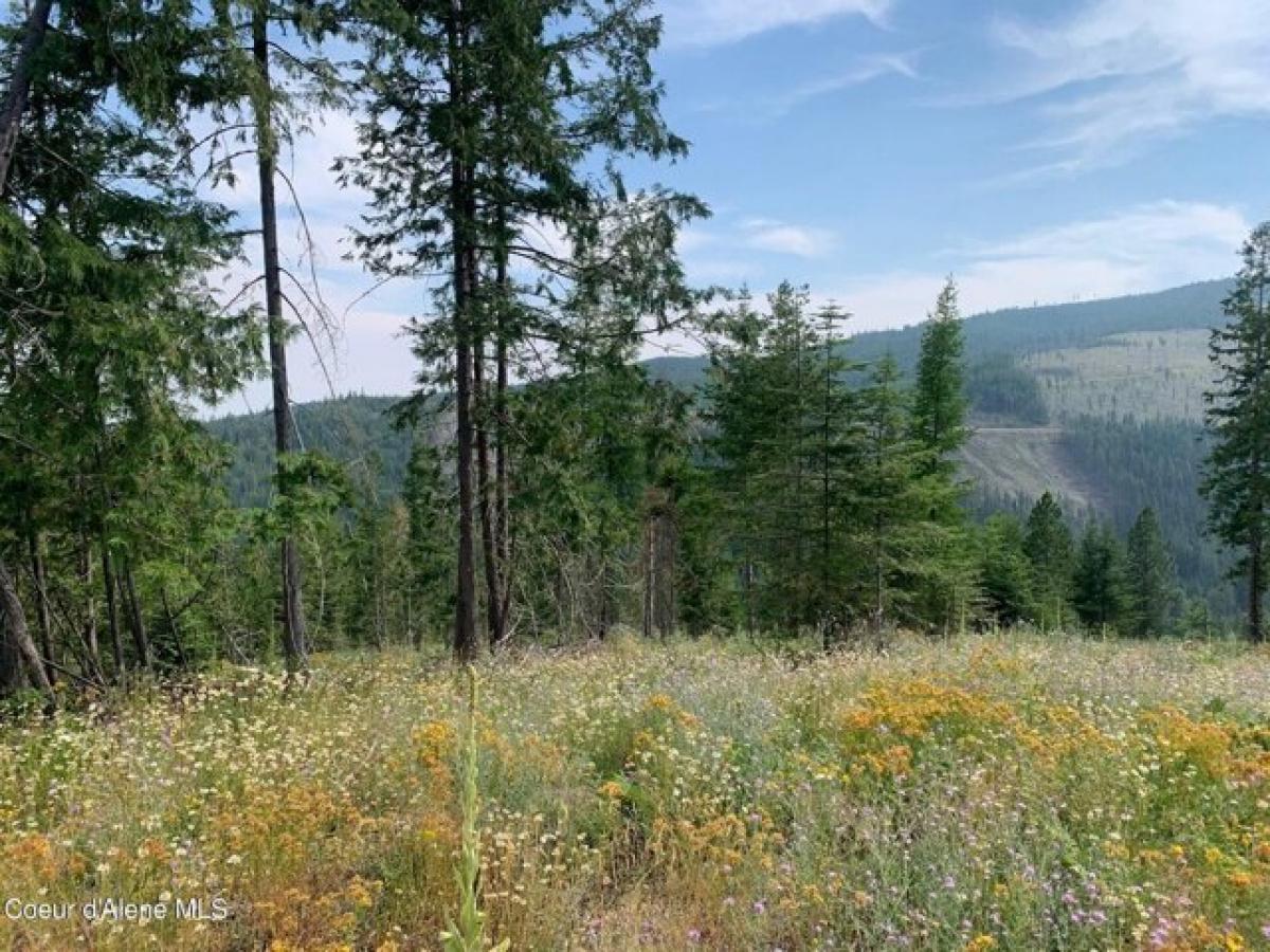 Picture of Residential Land For Sale in Priest River, Idaho, United States