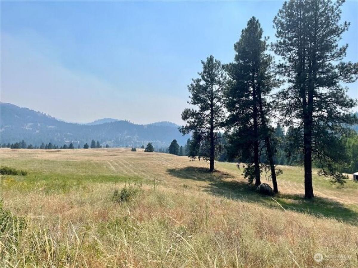 Picture of Residential Land For Sale in Malo, Washington, United States