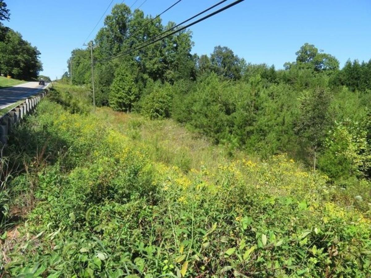 Picture of Residential Land For Sale in Gretna, Virginia, United States