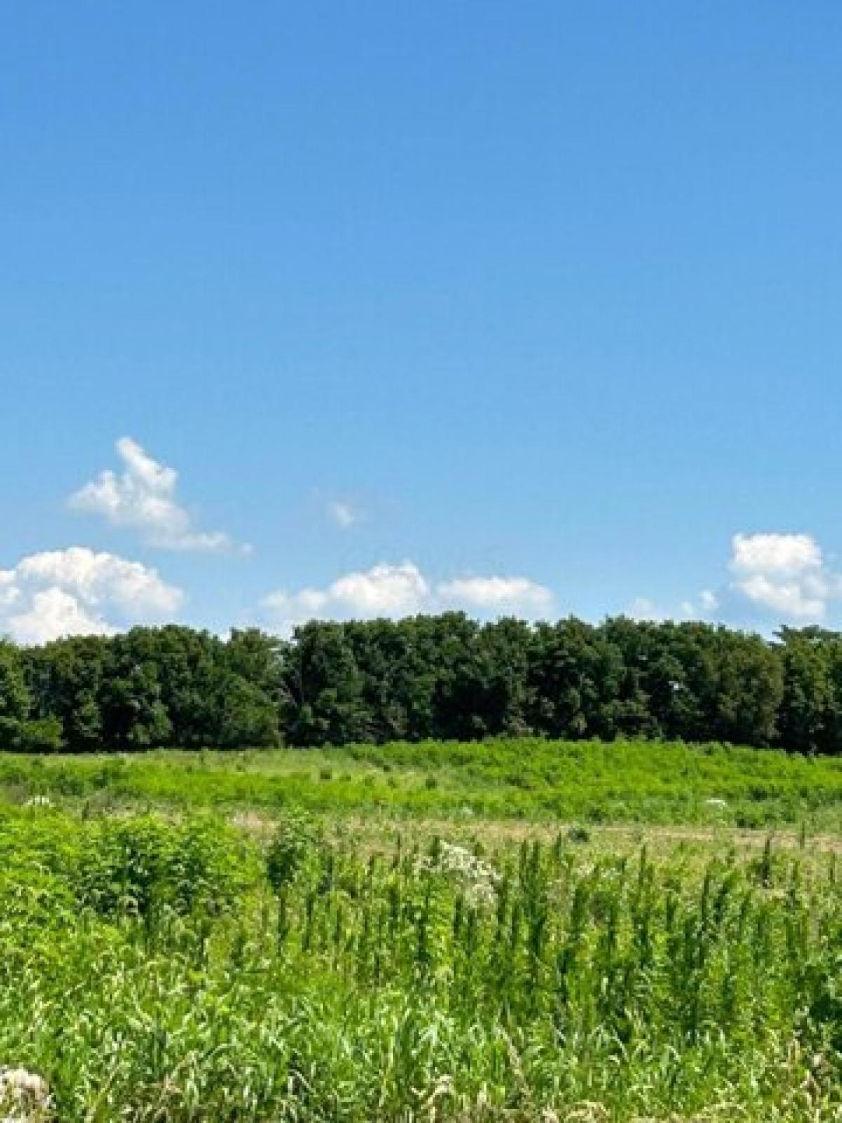 Picture of Home For Sale in Circleville, Ohio, United States