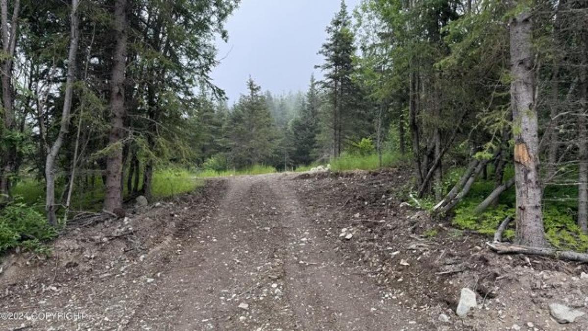 Picture of Residential Land For Sale in Eagle River, Alaska, United States