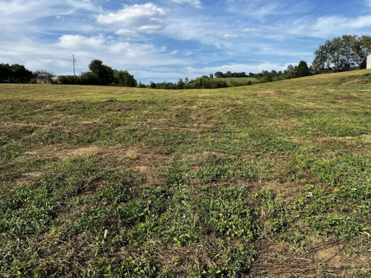 Picture of Residential Land For Sale in Lynnville, Tennessee, United States