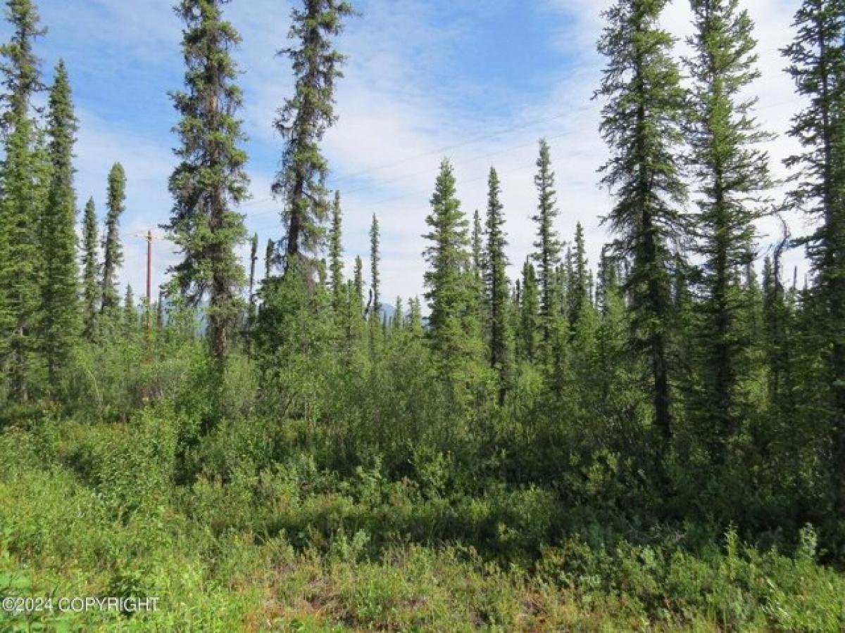 Picture of Residential Land For Sale in Copper Center, Alaska, United States