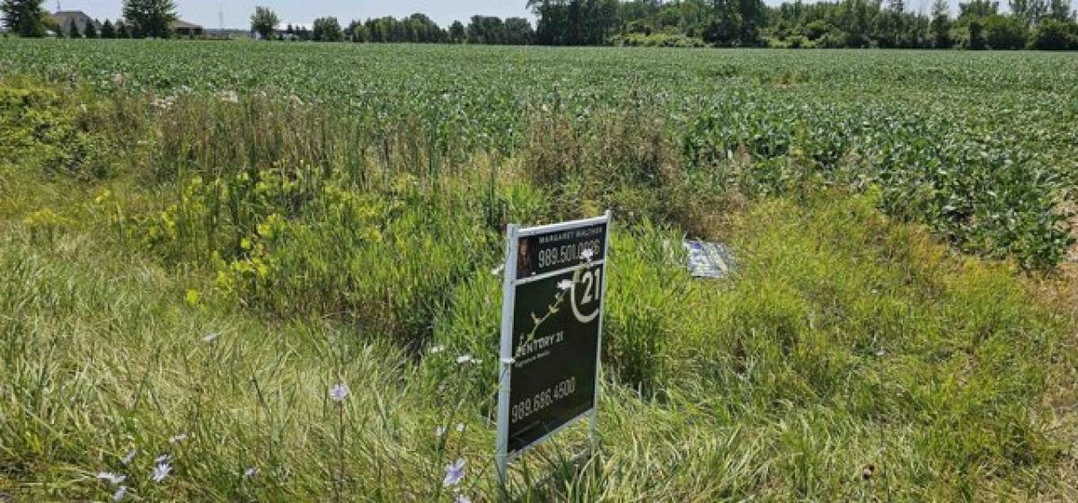 Picture of Residential Land For Sale in Bay City, Michigan, United States