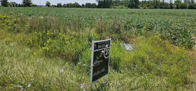 Residential Land For Sale in 