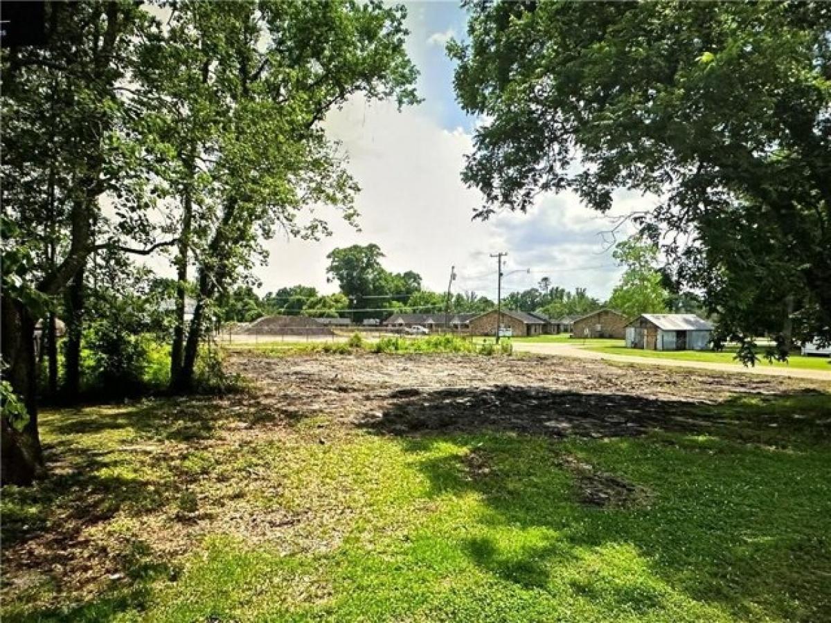 Picture of Residential Land For Sale in Bogalusa, Louisiana, United States