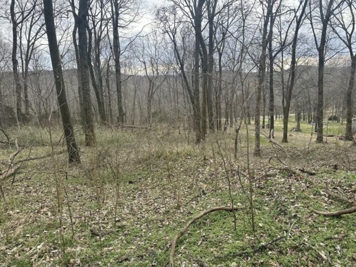 Picture of Residential Land For Sale in Culleoka, Tennessee, United States