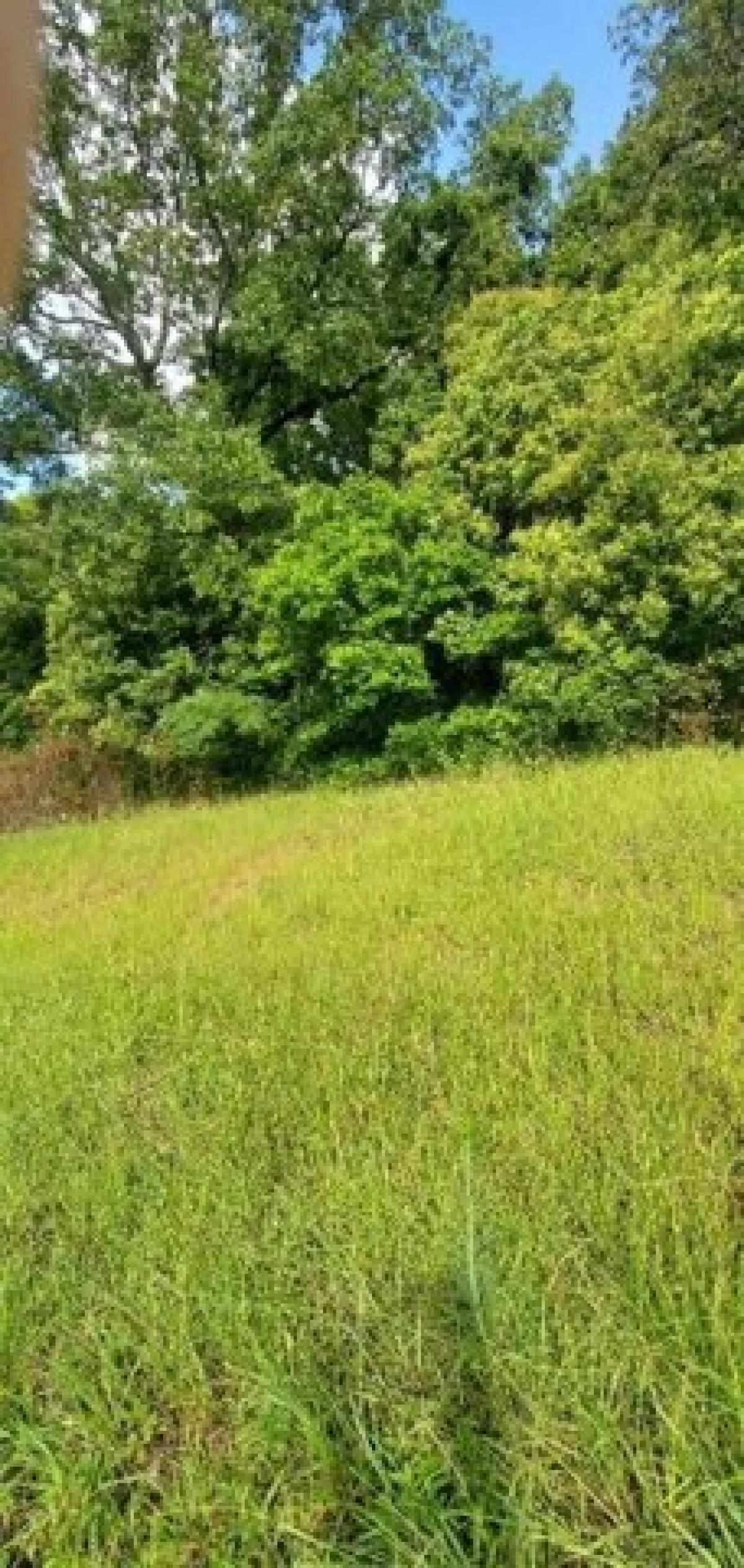 Picture of Residential Land For Sale in Columbus, Georgia, United States