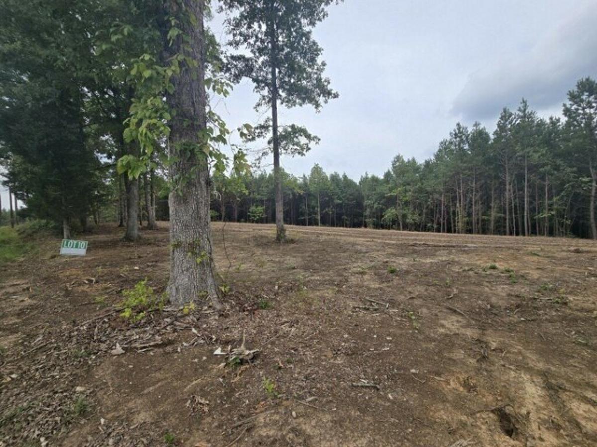 Picture of Residential Land For Sale in Erin, Tennessee, United States