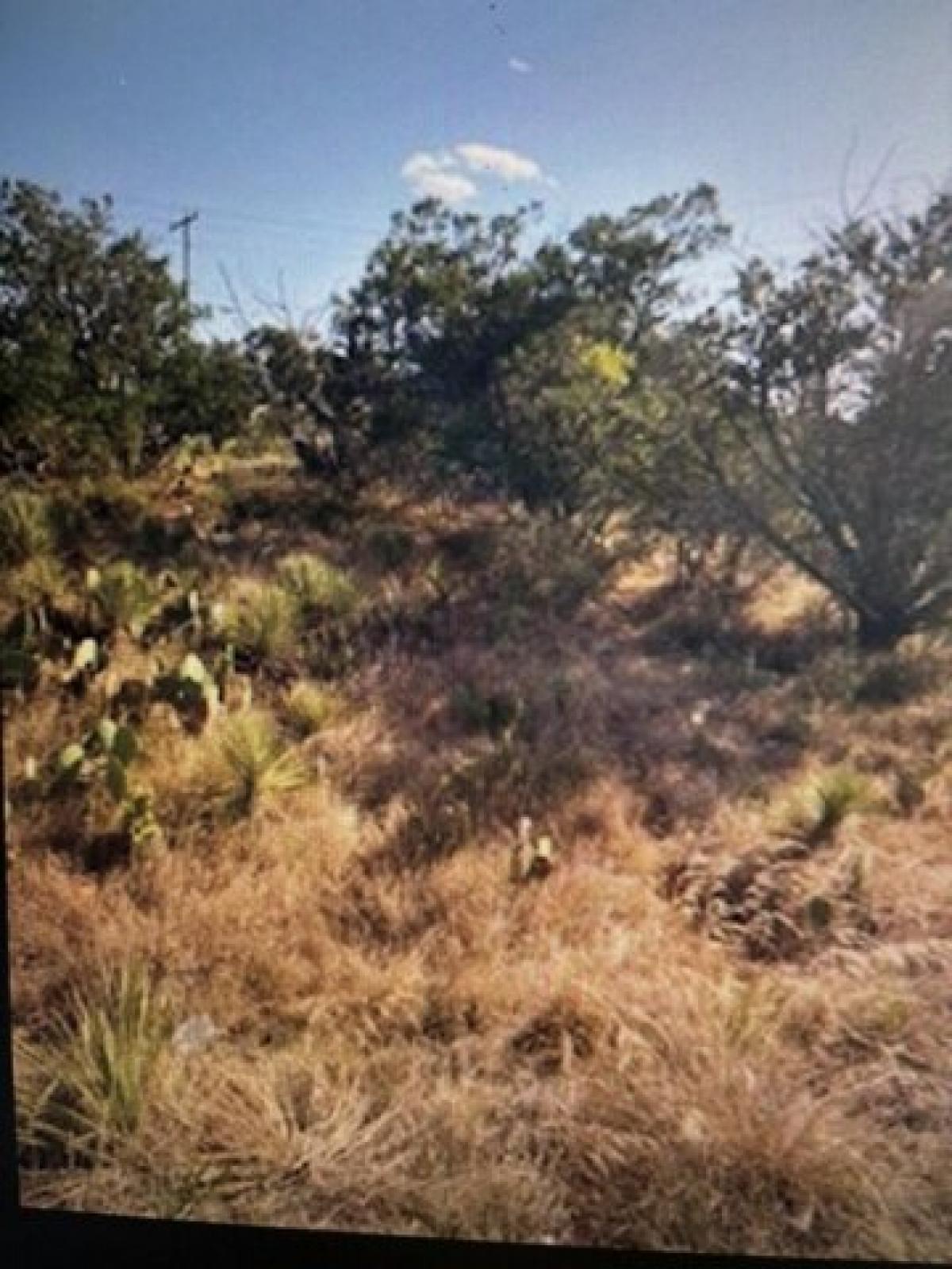 Picture of Residential Land For Sale in Tow, Texas, United States