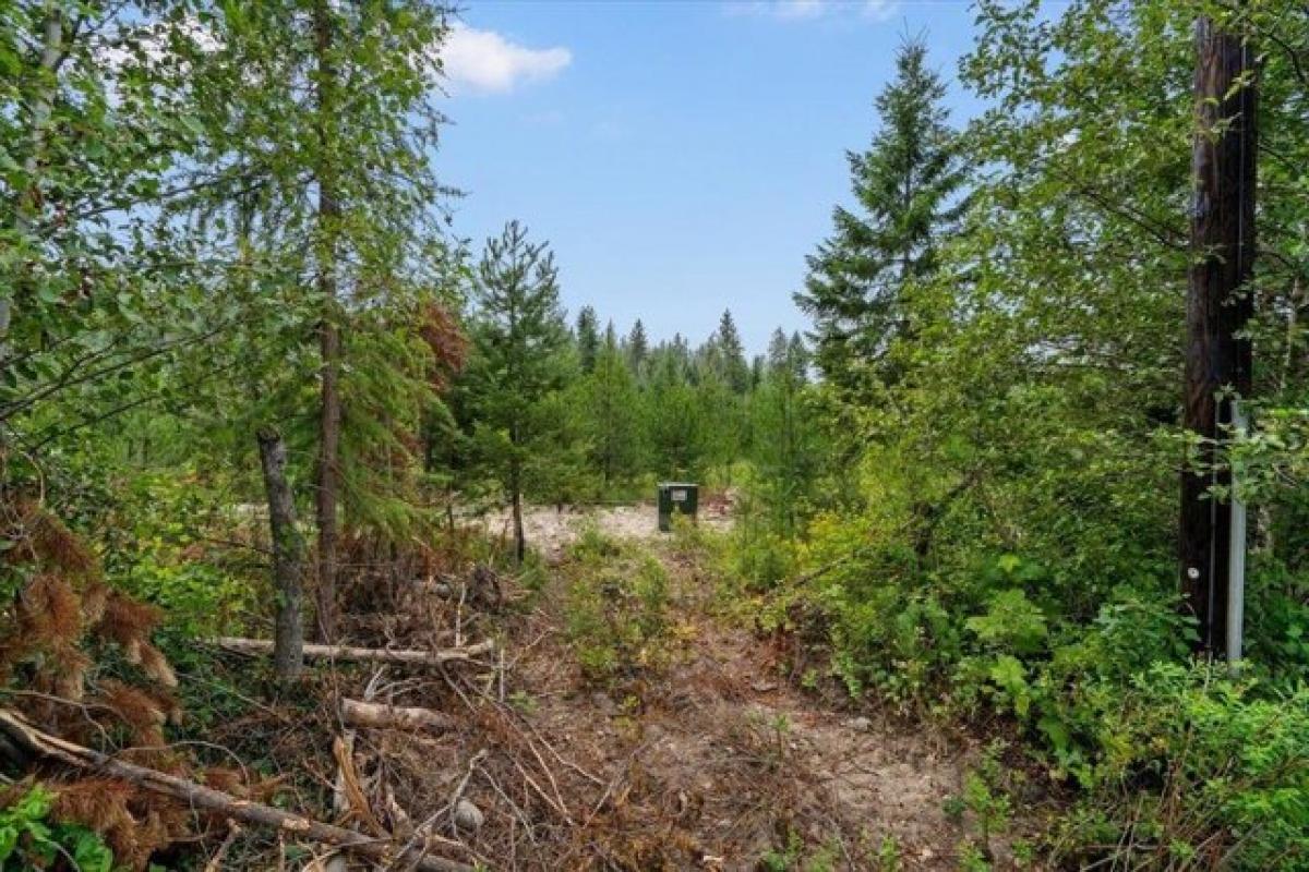 Picture of Residential Land For Sale in Athol, Idaho, United States