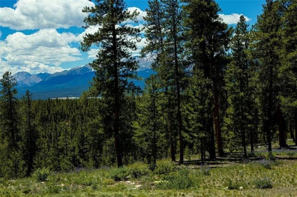 Picture of Residential Land For Sale in Leadville, Colorado, United States